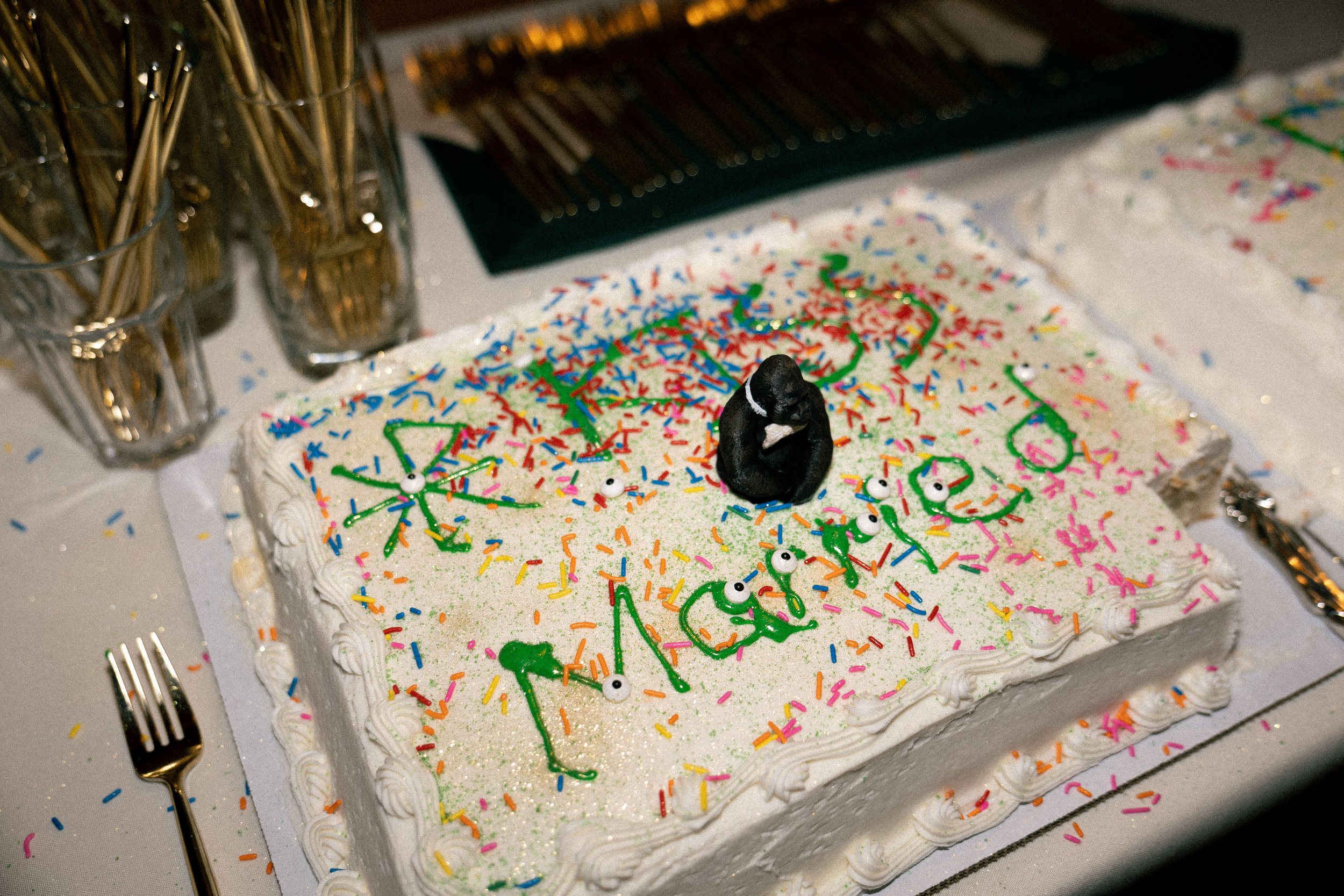 Rectangular birthday cake with white frosting, colorful sprinkles, green icing writing that says "Happy 2023," and a black figurine of a squirrel on top. There are small white eyeball decorations and a silver wand on the side, with utensils nearby.