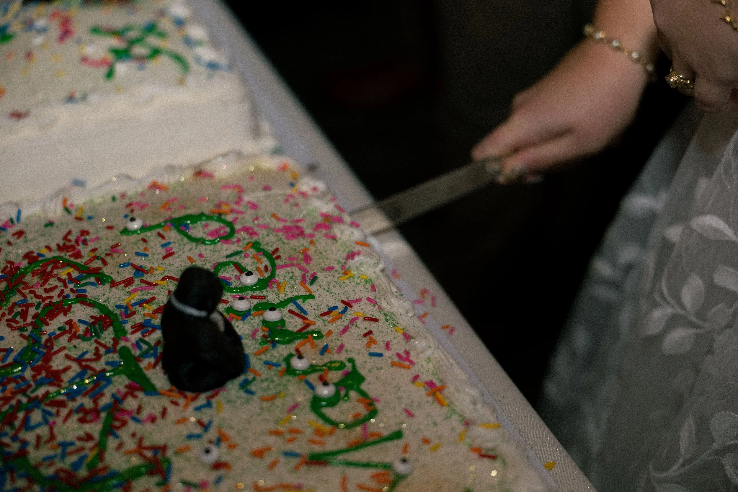 Person cutting a rectangular birthday cake decorated with colorful sprinkles, green icing, and small decorative eyes.