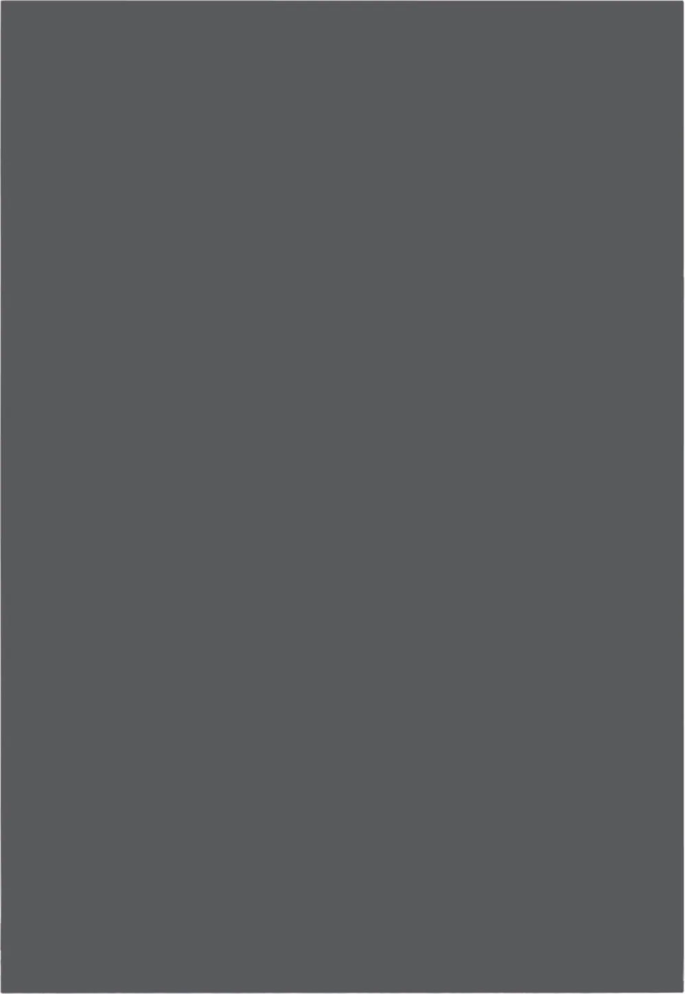 Motion Skiffergrå F334_grifflos.jpeg