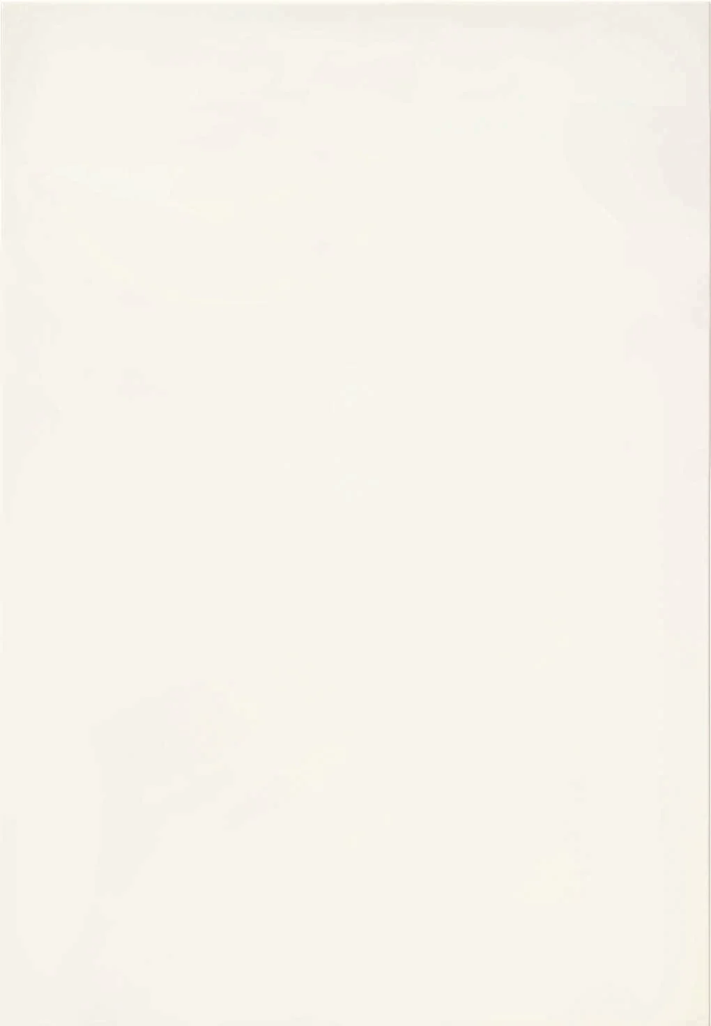 Empire Alpinvit Högglans F516_grifflos.jpeg