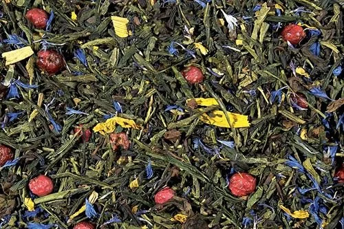 10 Vanilla Currant