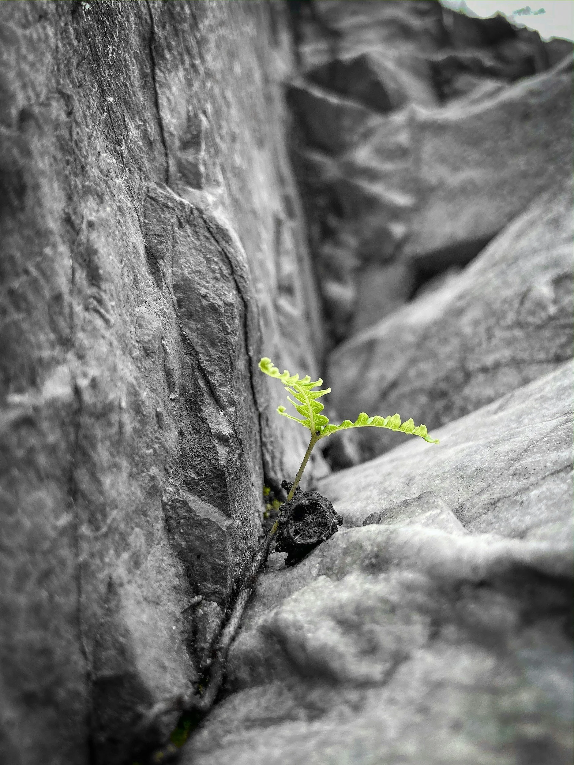 unsplash-image-61K4nHZnvLQ.jpg