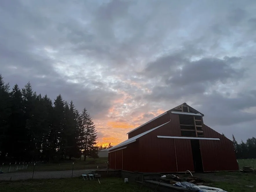 barn.jpg
