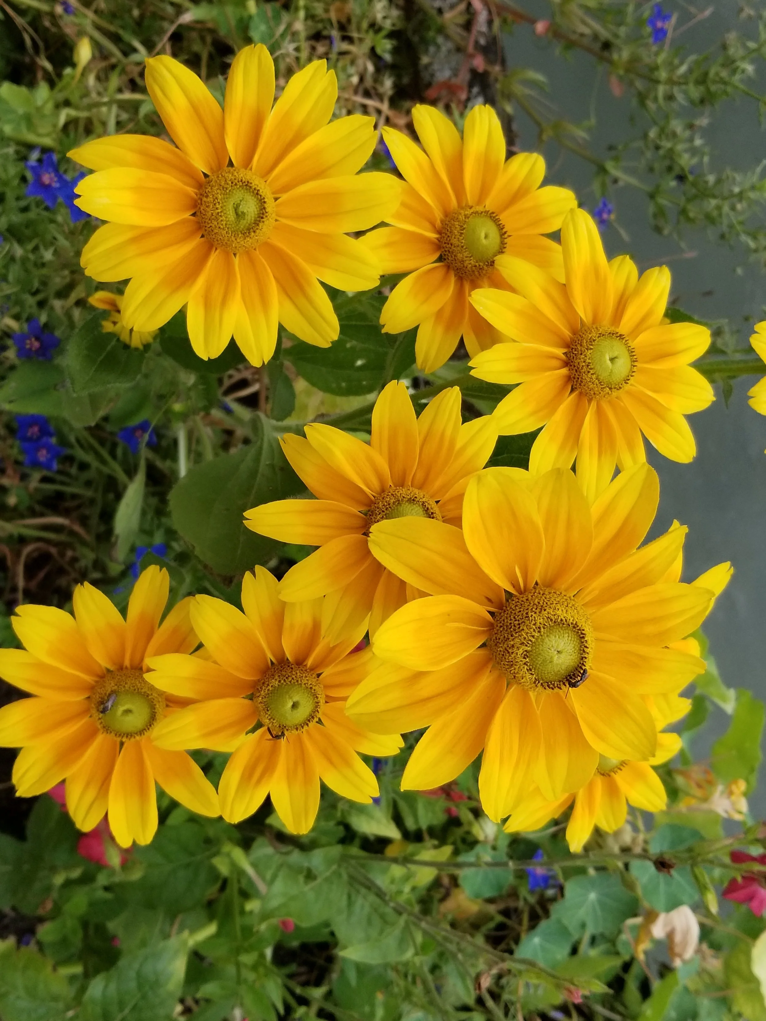 20180731_142918.jpg