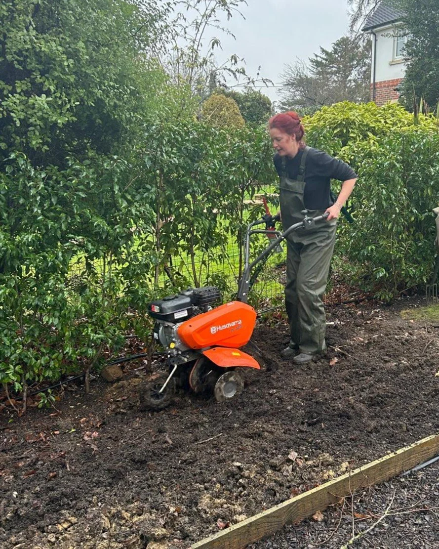 Garden Restoration & Renewal