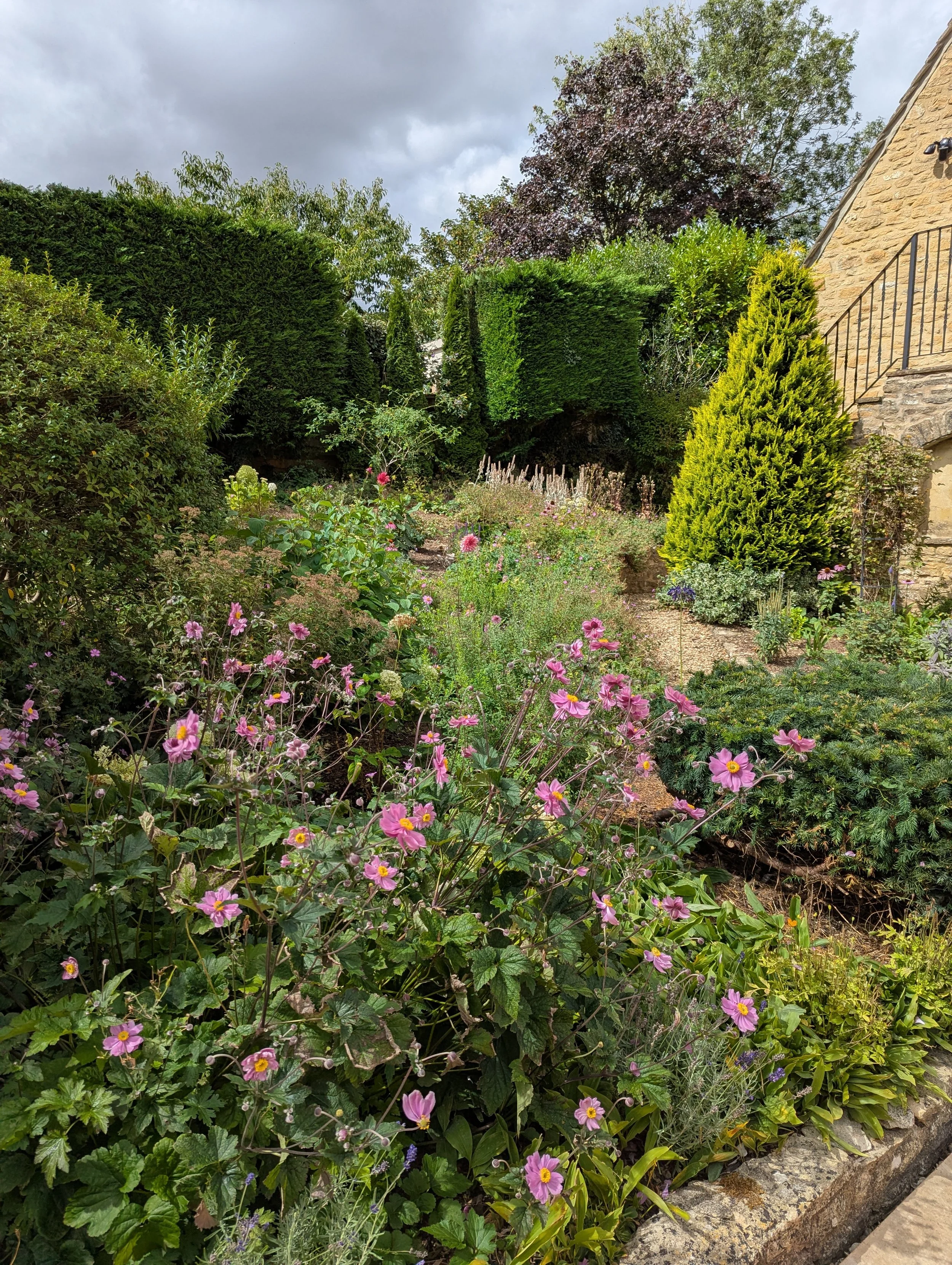 A cottage garden with pink Japanese anemones, mixed planting borders, clipped hedges, and a Cotswold stone house in Oxfordshire.