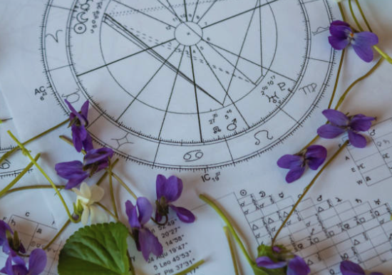 Astrological chart with purple flowers and green leaves on top.