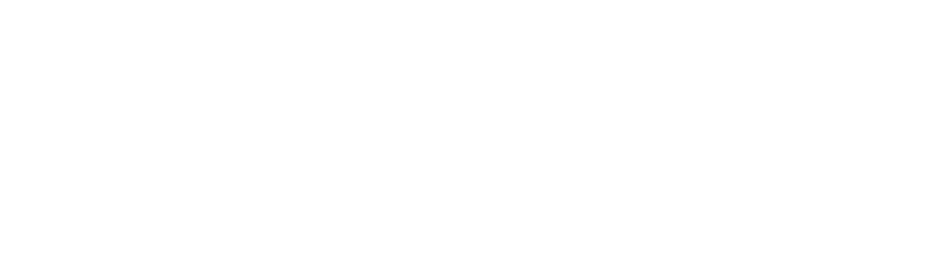 The text "DayBiss" in a stylized font with a black background.