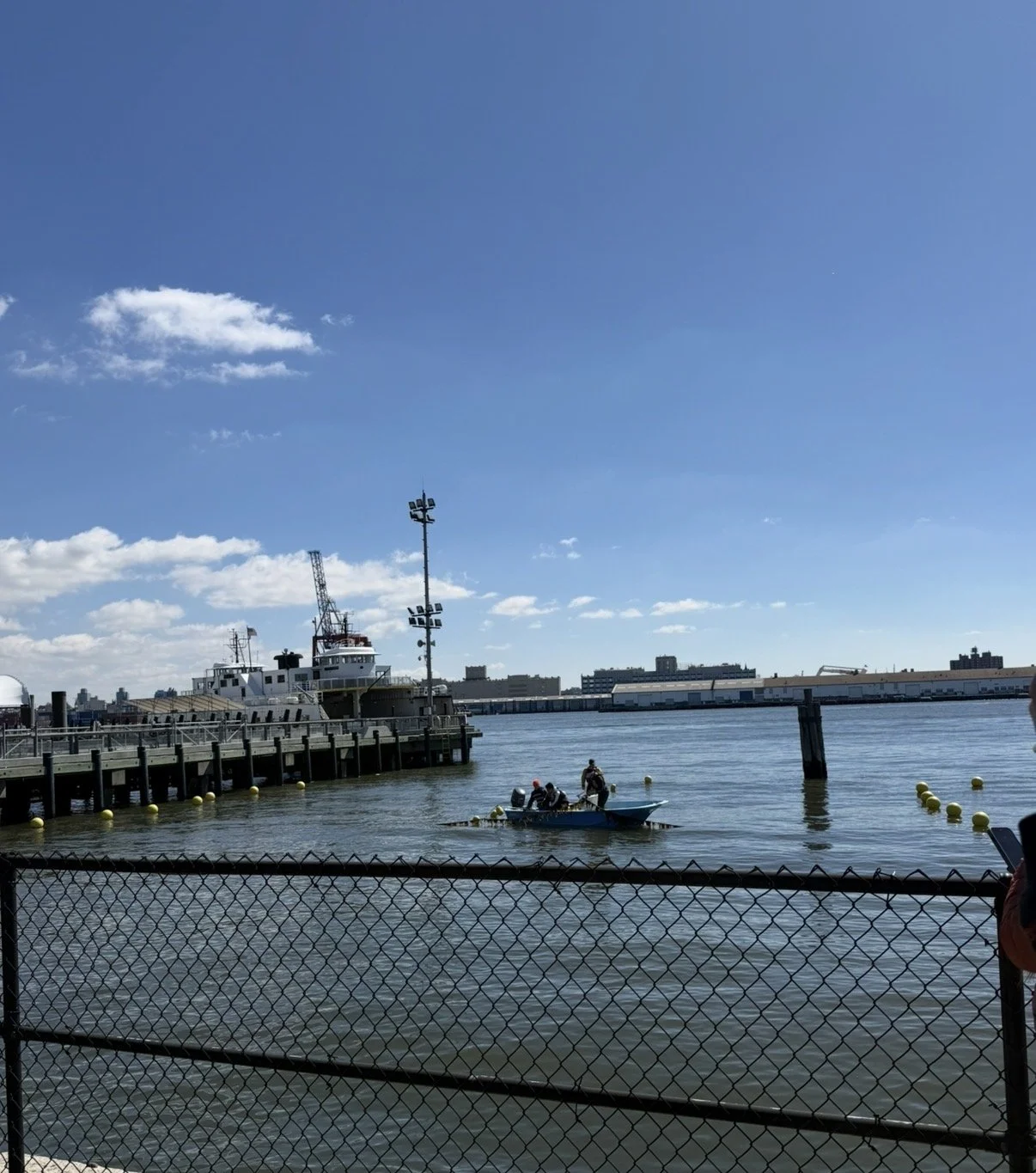 Sugar Kelp &amp; The Hudson River 