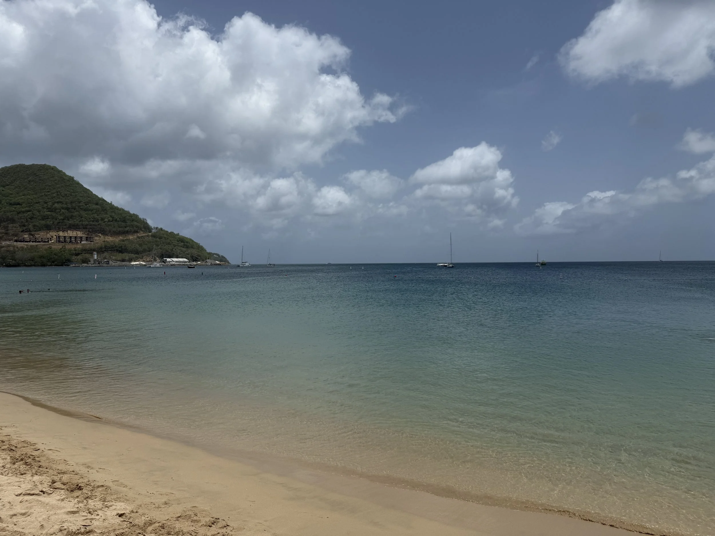 IMG_4767.jpeg