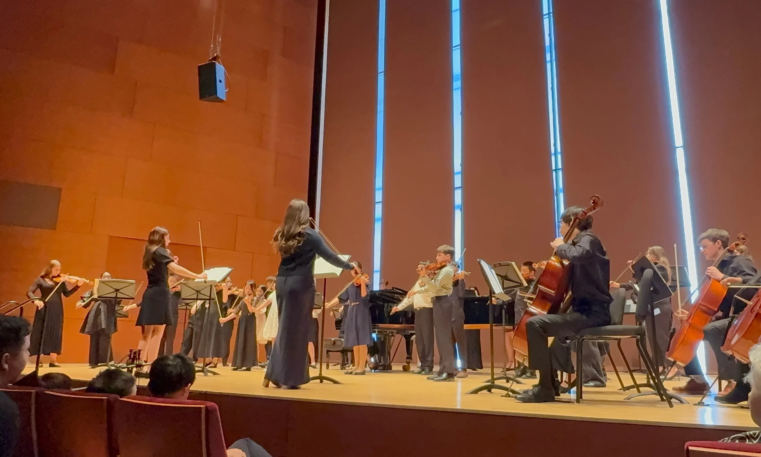 Tali Leads Violin 1