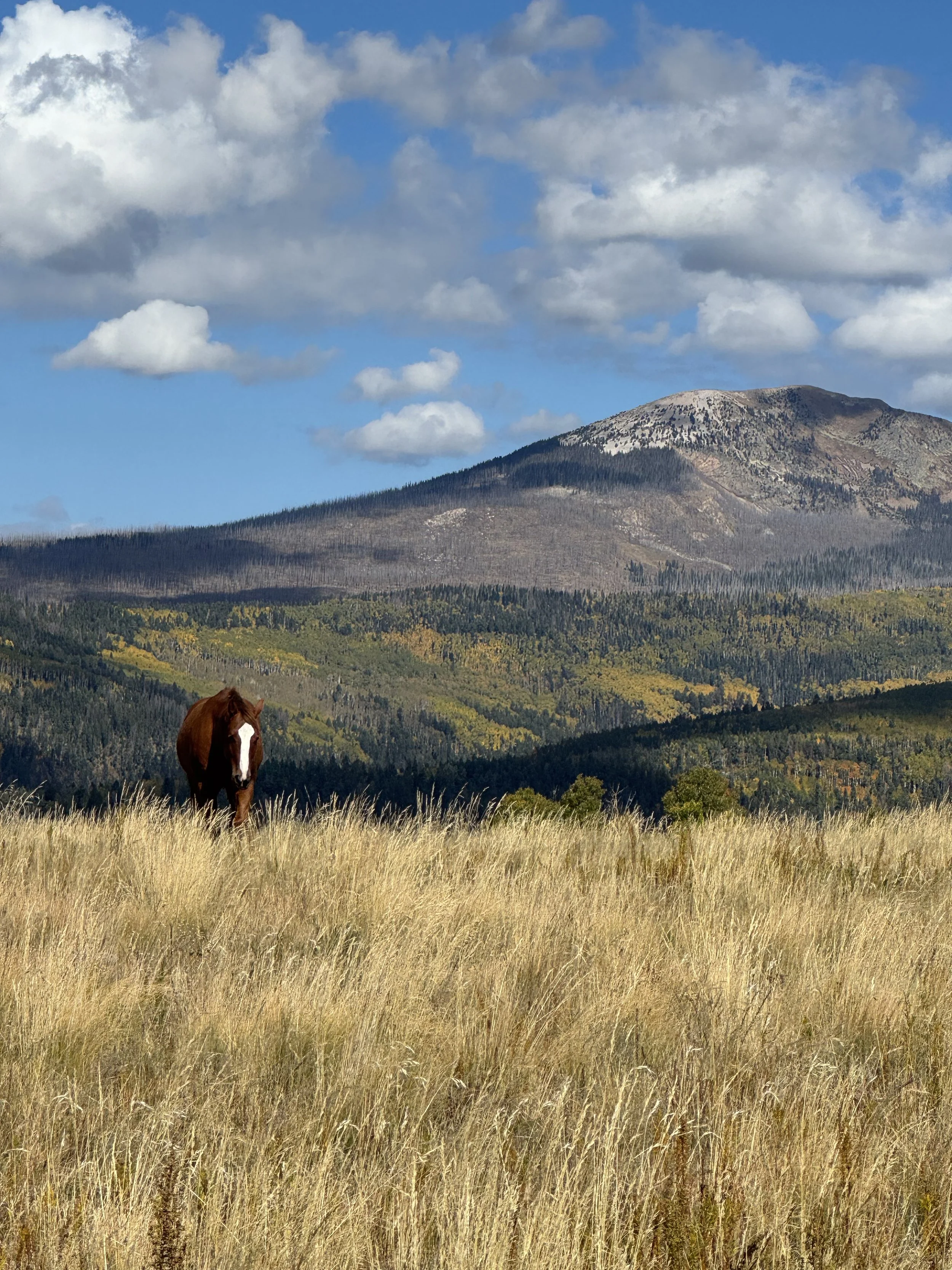 Camp to Grass Mountain Summit
