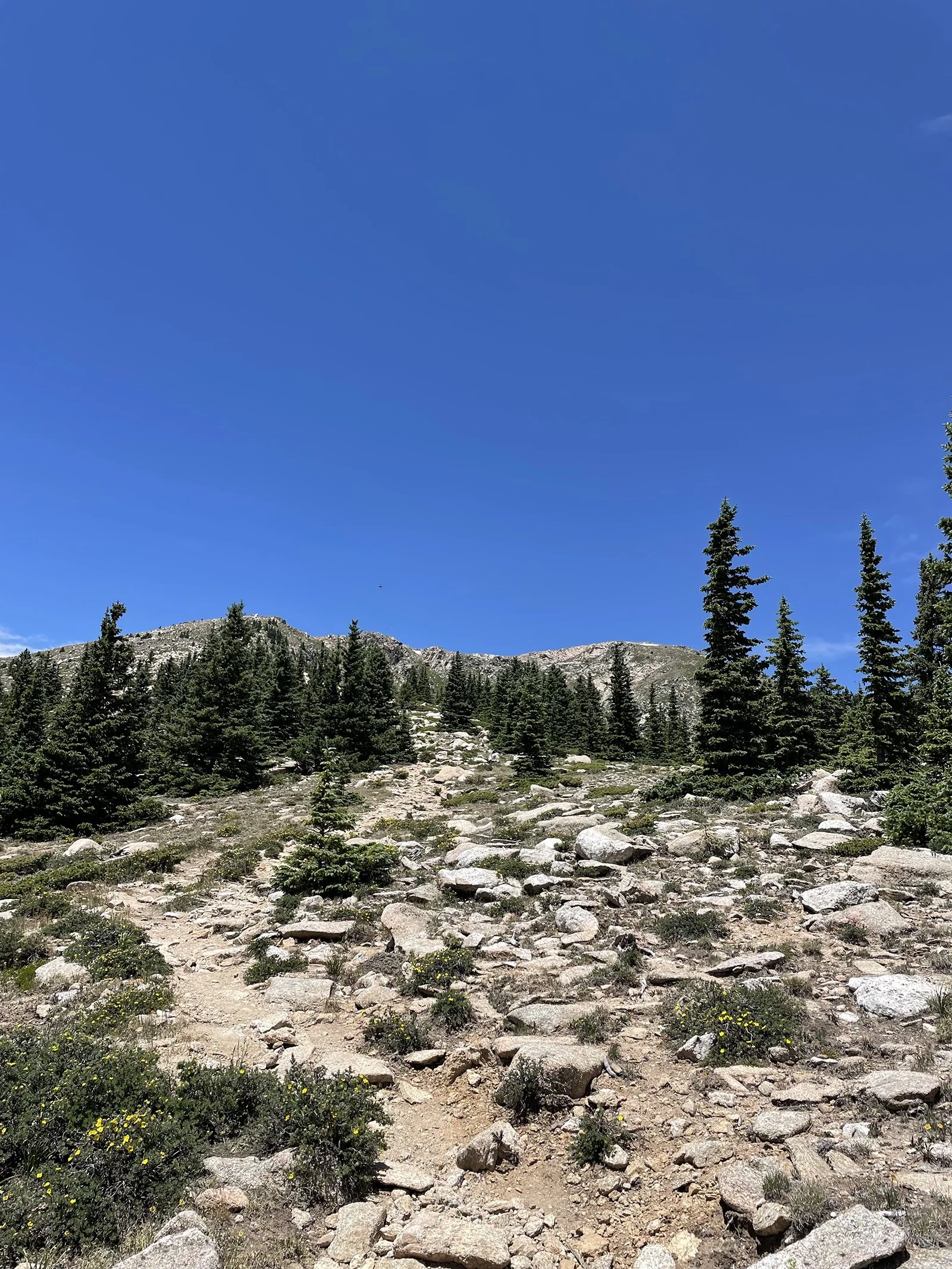 IMG_7827.jpg