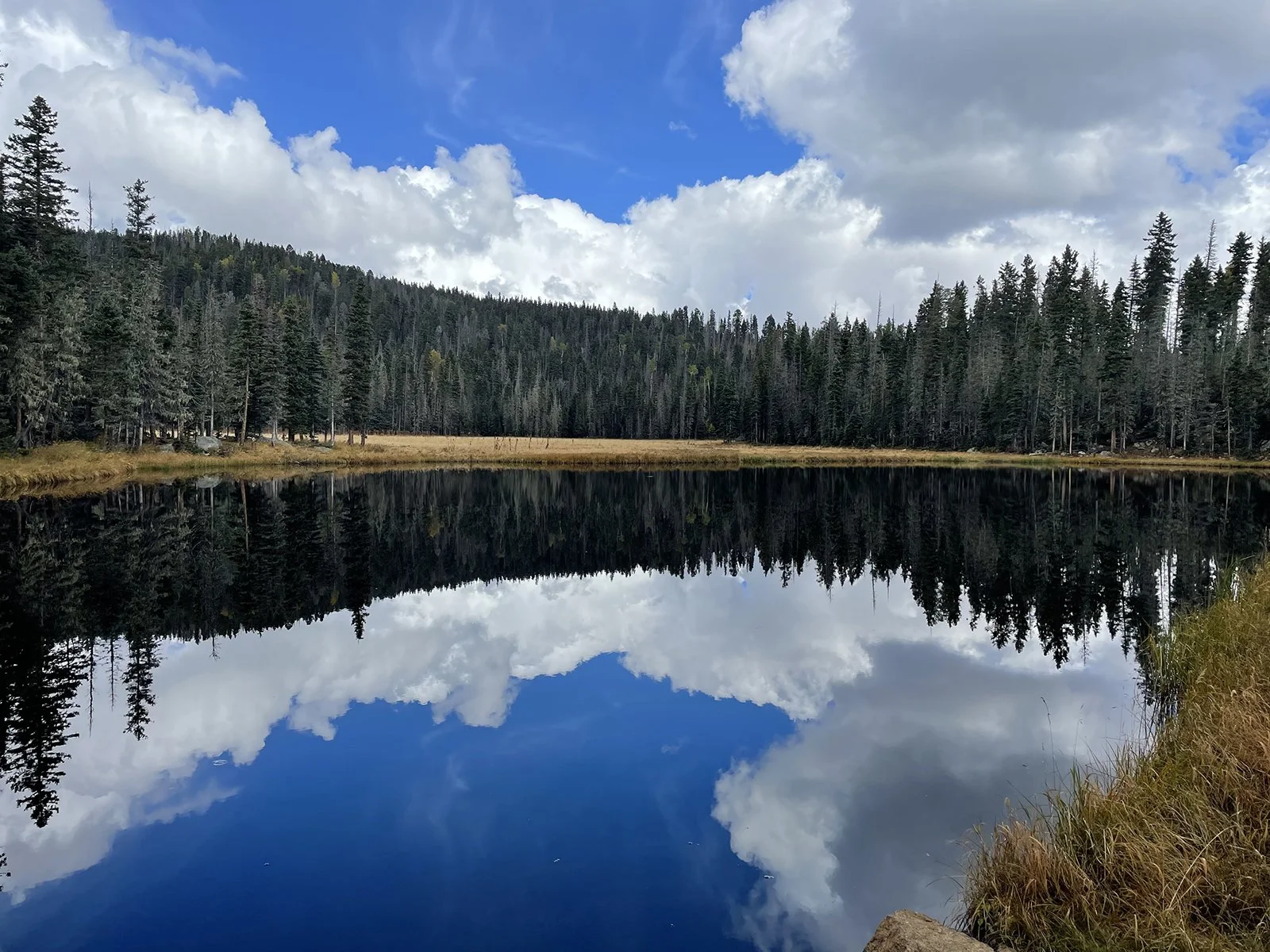 Lake Stewart.jpg