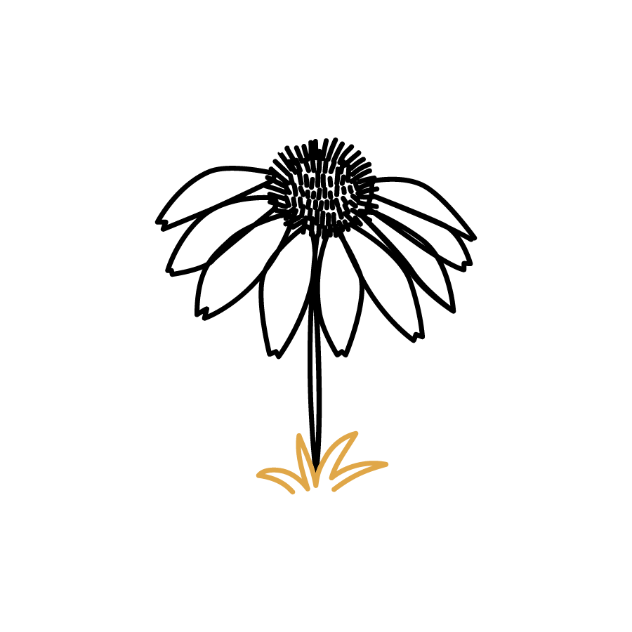 ConeFlower_Black_Icon_NLT-MDC.png