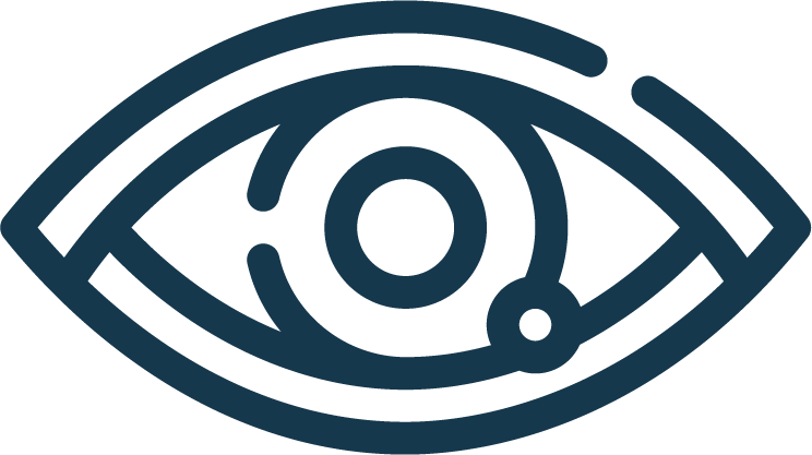Stylized icon of an eye with a magnifying glass, representing observation or vision.