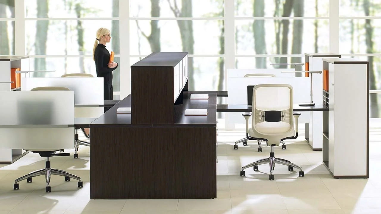 An empty modern office with white and dark wood desks and chairs, large windows with trees outside, and a woman holding a folder standing near the window.