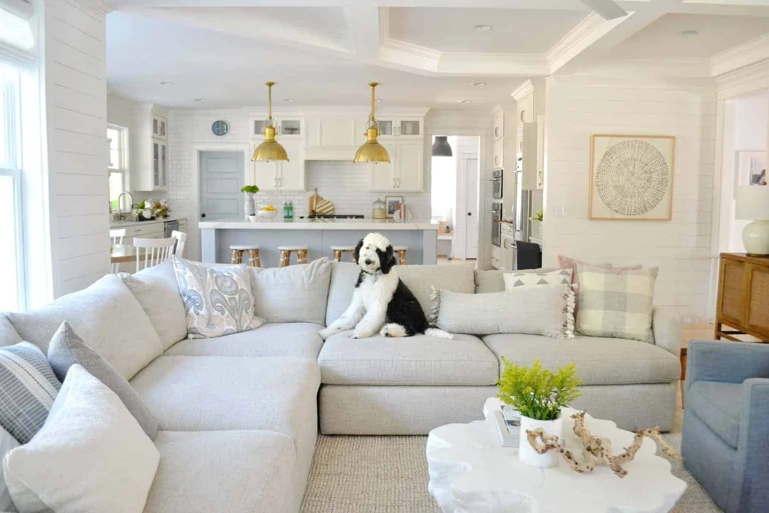 A living room with a white sectional sofa, beige and patterned pillows, and a black and white dog sitting on the sofa. The background shows an open kitchen with white cabinetry, gold pendant lights, and bar stools.