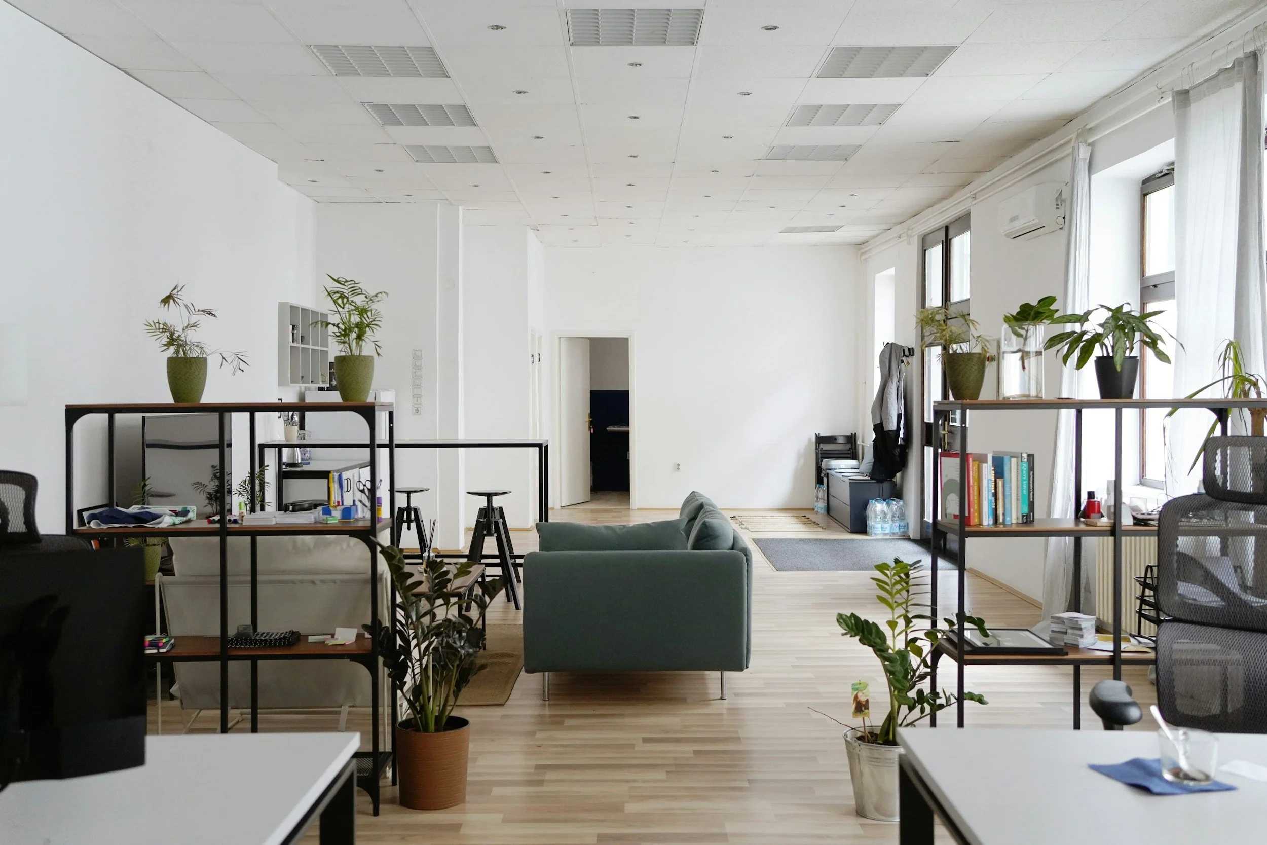 An open office space with white walls, large windows with white curtains, and light wood flooring. There are multiple potted plants, bookshelves, a teal sofa, and various office furniture.