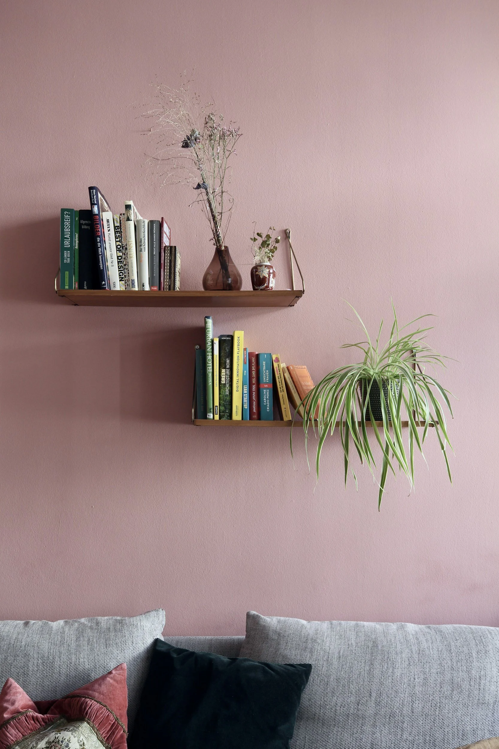 Pink wall with wooden shelves holding books, vases, and plants above a gray sofa with decorative pillows.