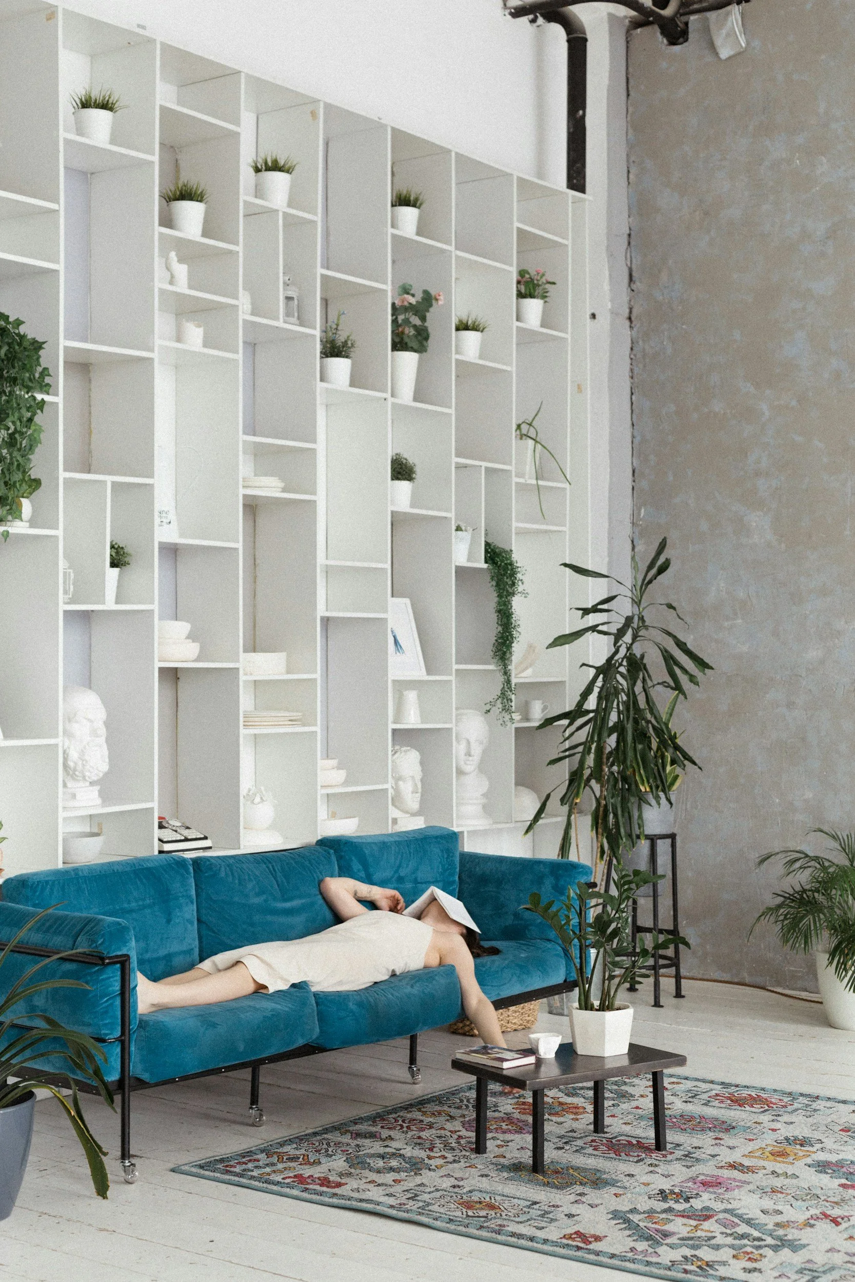 A person lying on a blue velvet sofa reading a book, in a room with white shelving filled with plants, sculptures, and decor, and a large potted plant beside the sofa, on a colorful patterned rug.