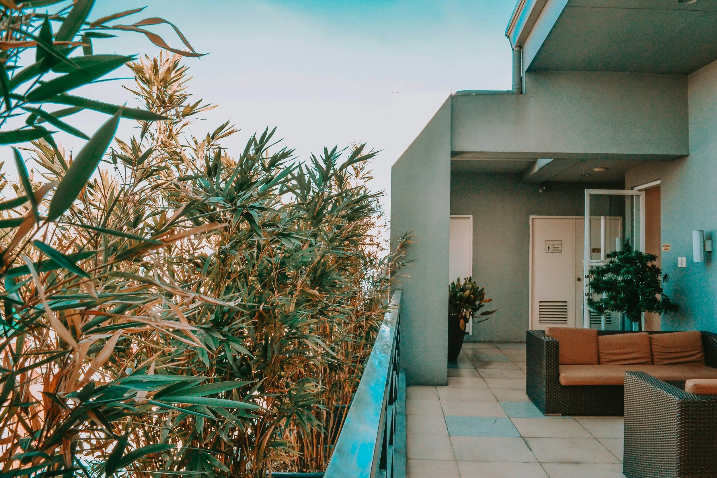 Outdoor balcony area with wicker furniture, potted plants, and greenery along the railing, attached to a modern building against a clear sky.