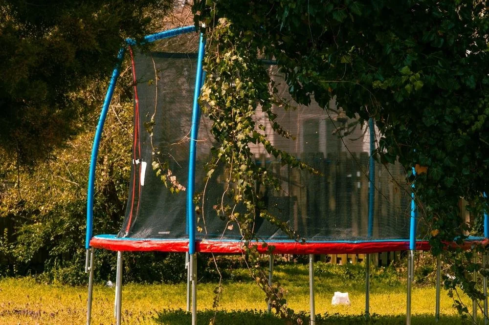 Trampoline in a garden with blue poles, red padding and a safety enclosure net.
