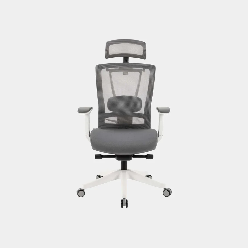 An ergonomic office chair with a mesh back, adjustable headrest, and armrests, set against a plain white background.
