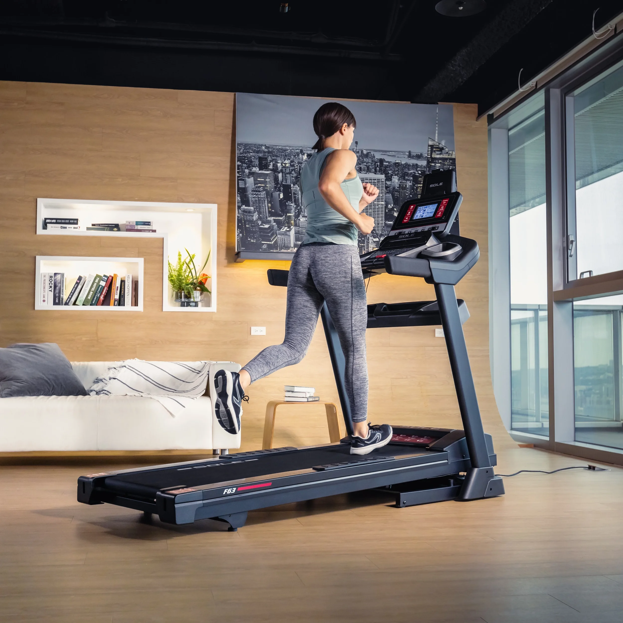 Professional Sole Fitness Assembly & Installation Across the GTA  Sole Fitness Equipment Setup Toronto