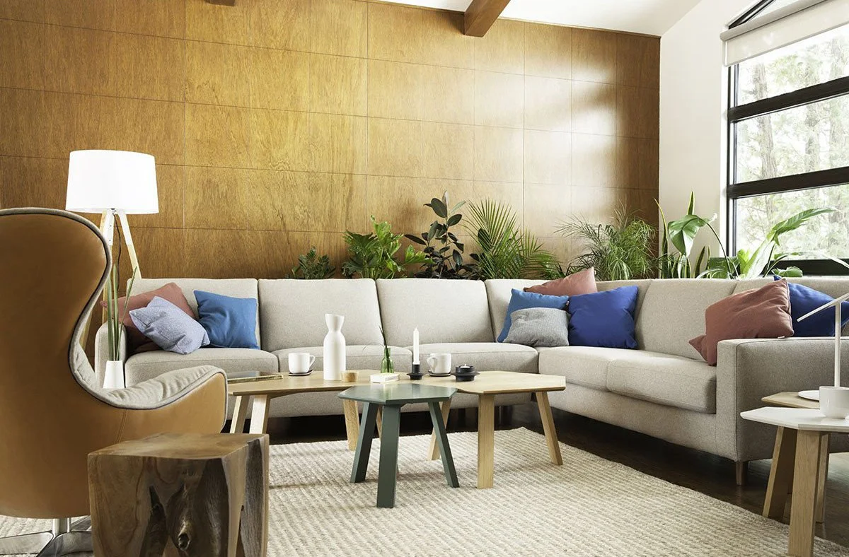 A modern living room with a beige L-shaped sofa decorated with colorful pillows, a wooden coffee table, a side table with a white cup, a floor lamp, and large windows with greenery outside. There are also some indoor plants behind the sofa.