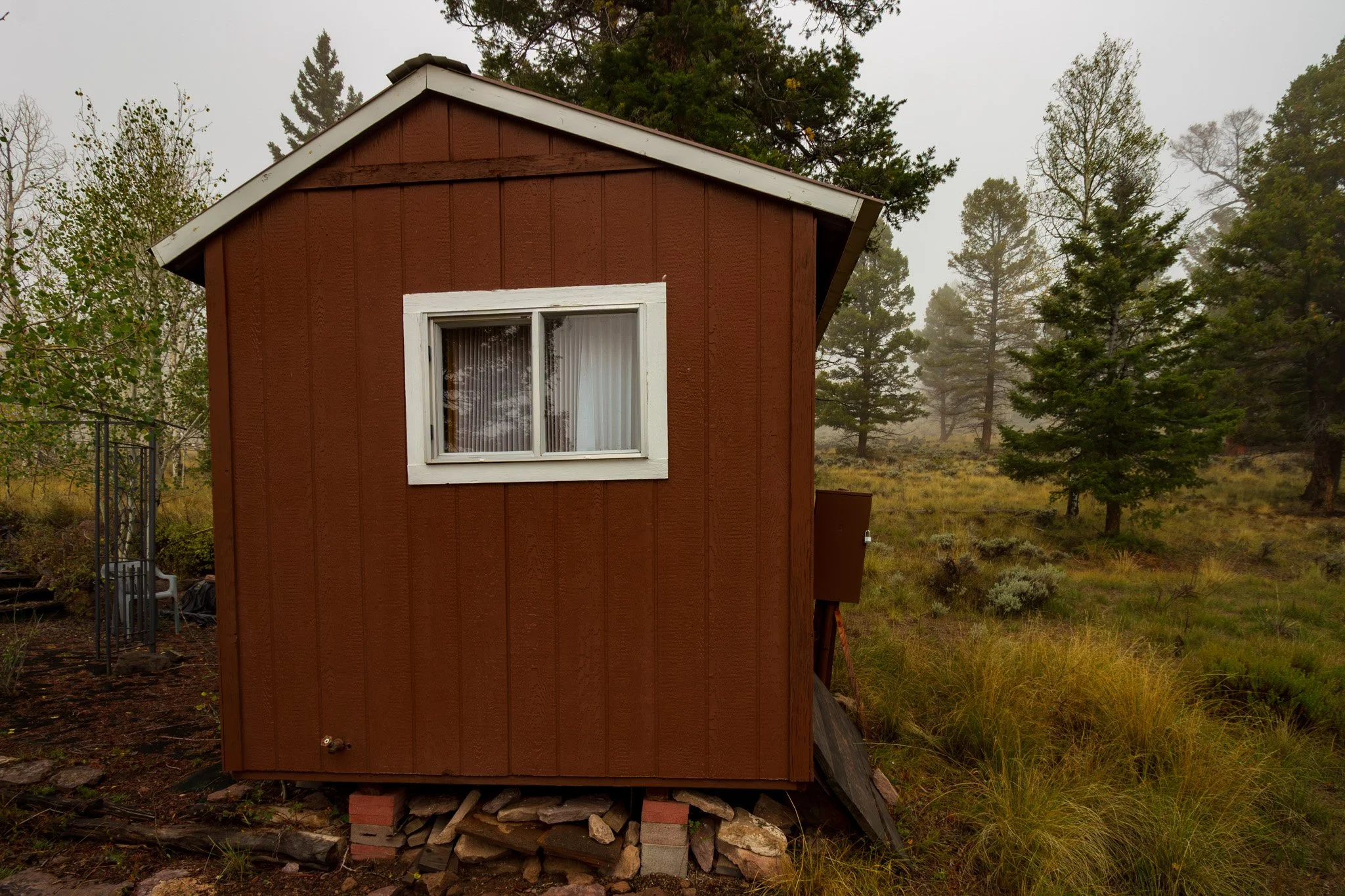 7 Shed.jpg