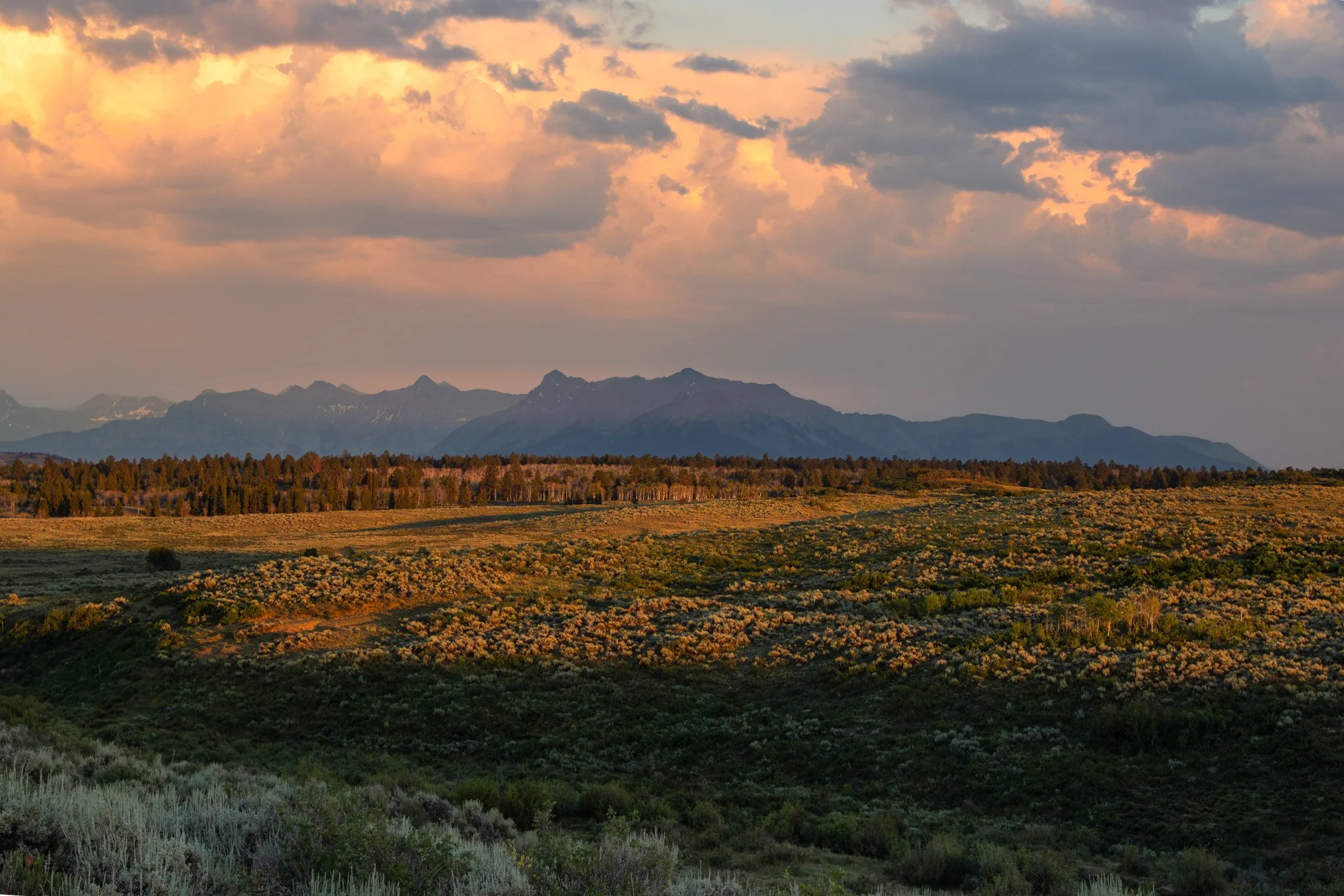 IMG_6169-HDR.jpg
