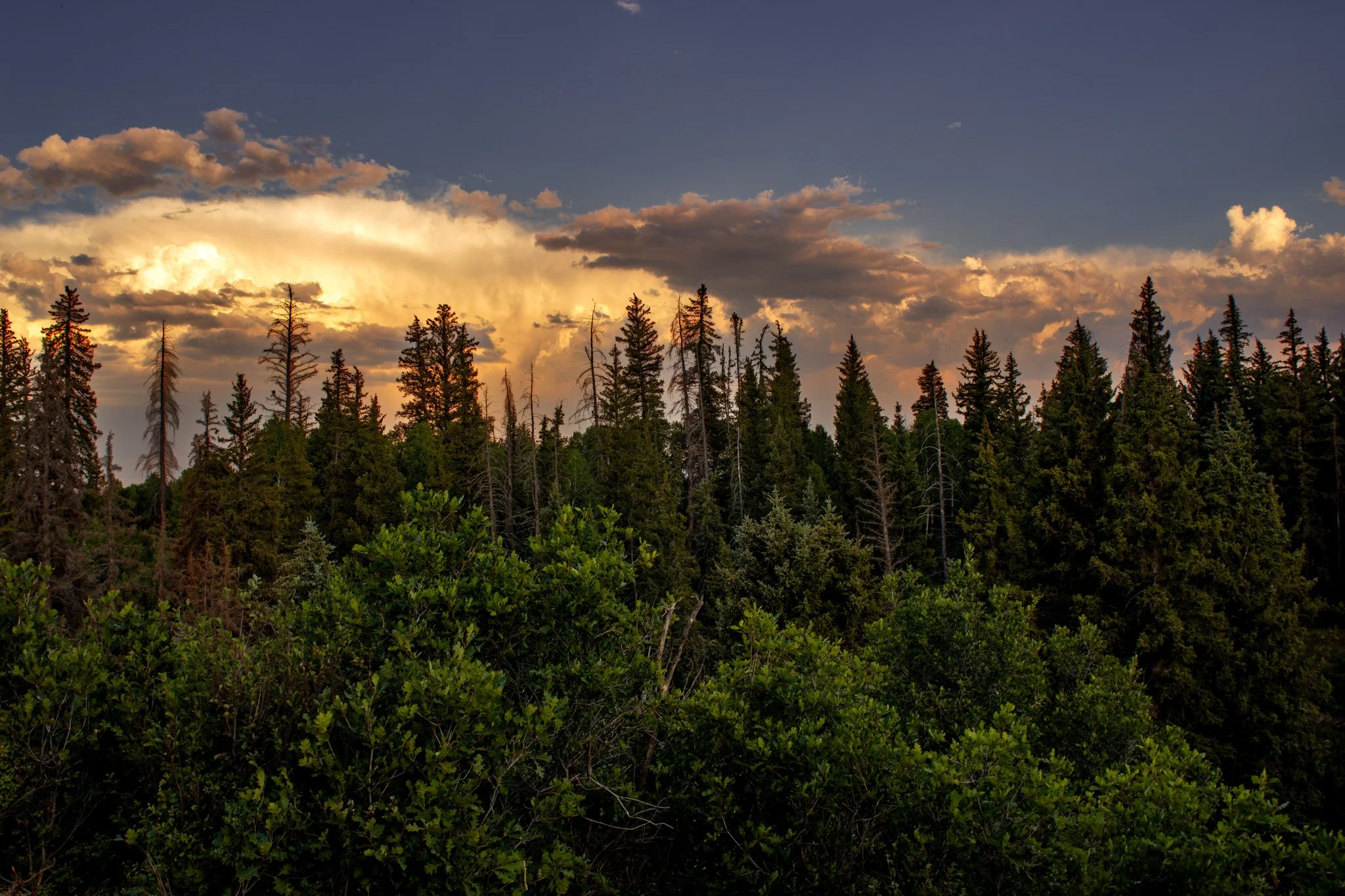 IMG_6130-HDR.jpg