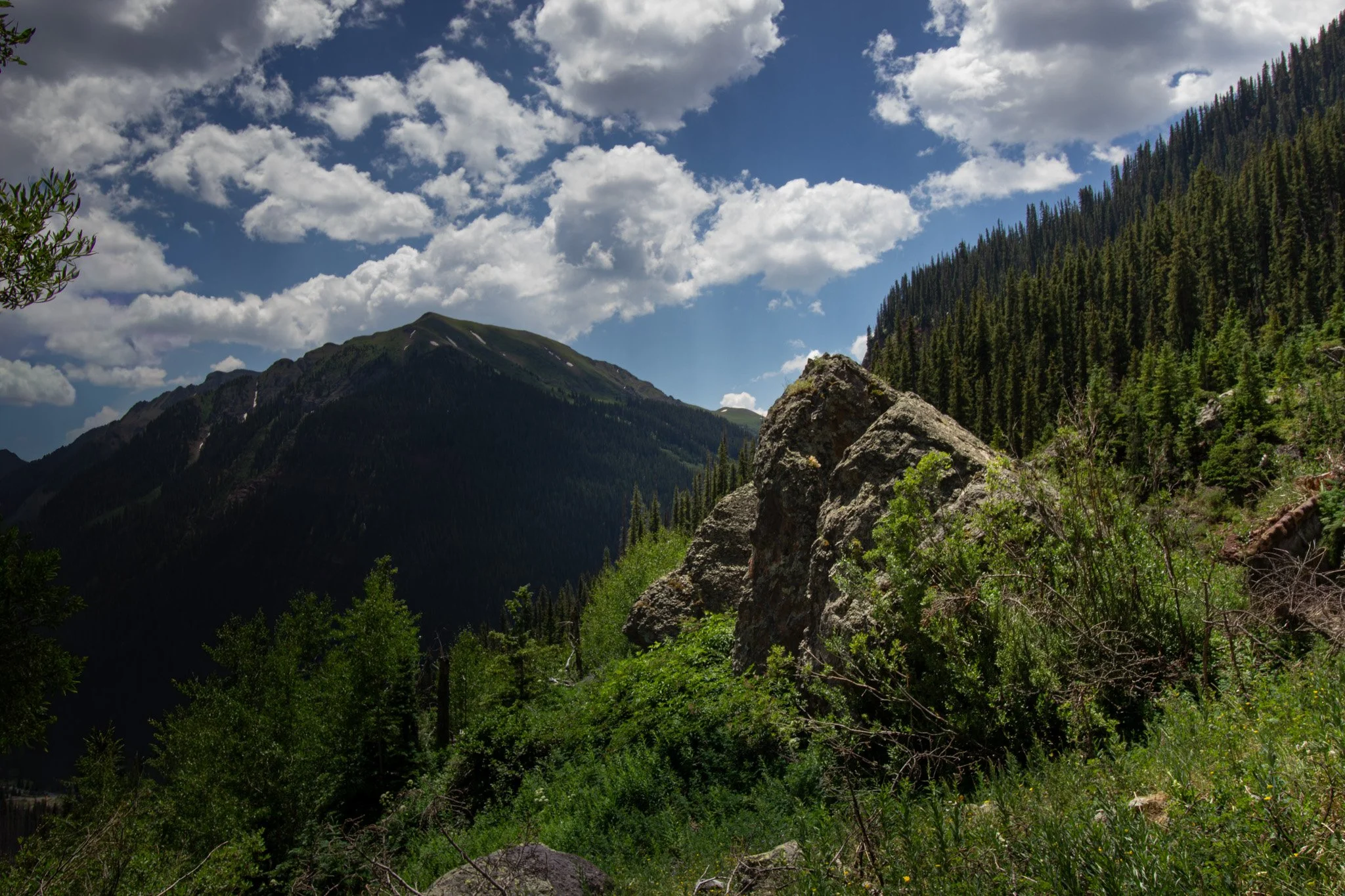 IMG_4593.jpg