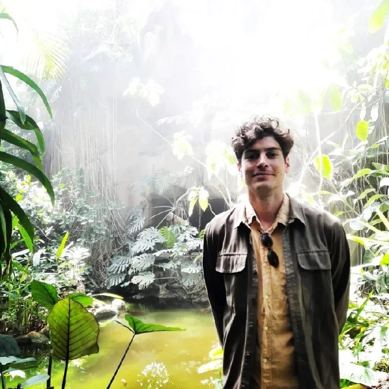 Young man standing in a lush, green rainforest with dense foliage and a small stream or pond at his side, sunlight filtering through the trees.