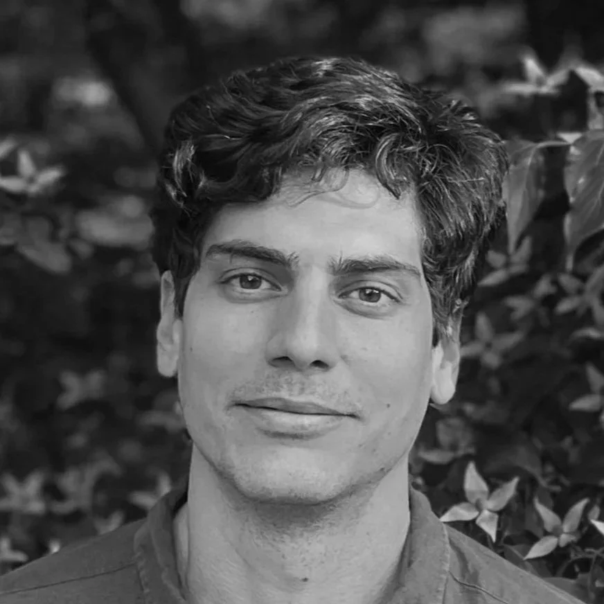 Young man standing in a lush, green rainforest with dense foliage and a small stream or pond at his side, sunlight filtering through the trees.