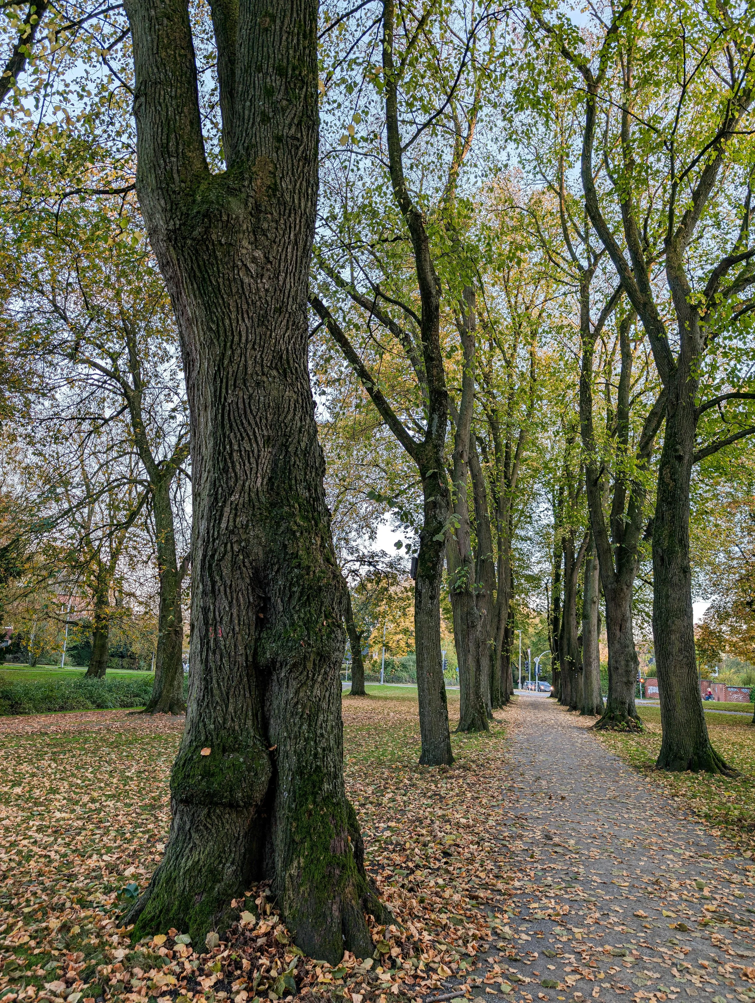 Why Working With a Local Tax Professional Matters More Than Ever