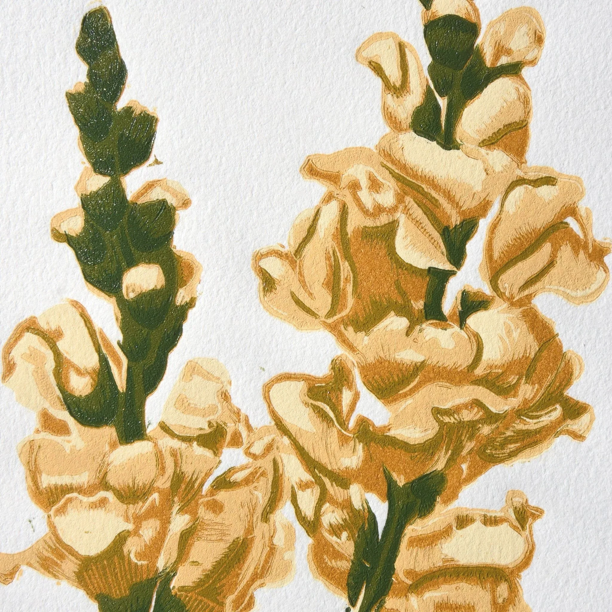 snapdragonswhitedet.jpg