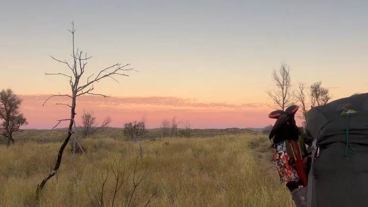 Snippets from our recent trip hiking the Larapinta trail through the lands of the Arrernte people <3