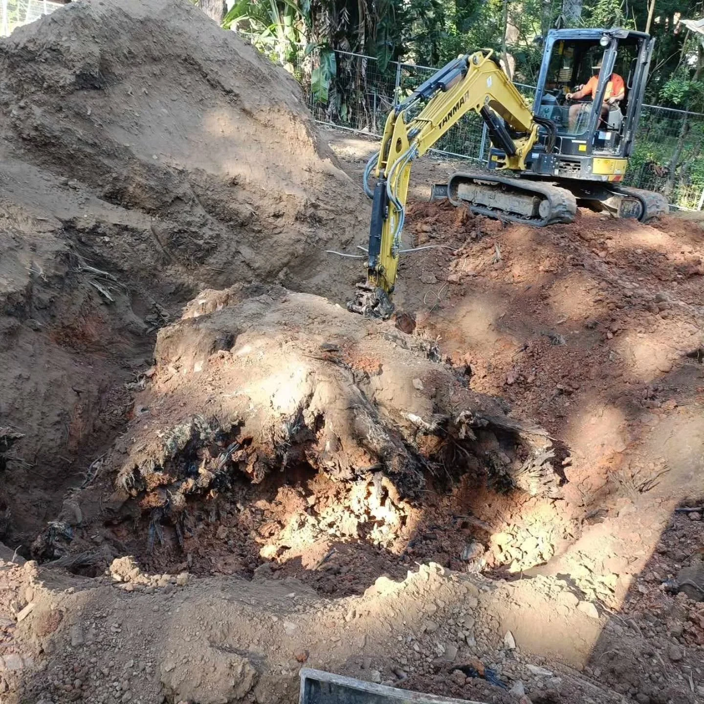 ❗️Stump Removal Flashback❗️

Check out this large Camphor Laurel stump! Flashback to a large detailed house pad excavation. The stump had been buried years prior to this construction and happened to be in the middle of the lower slab and above the fi