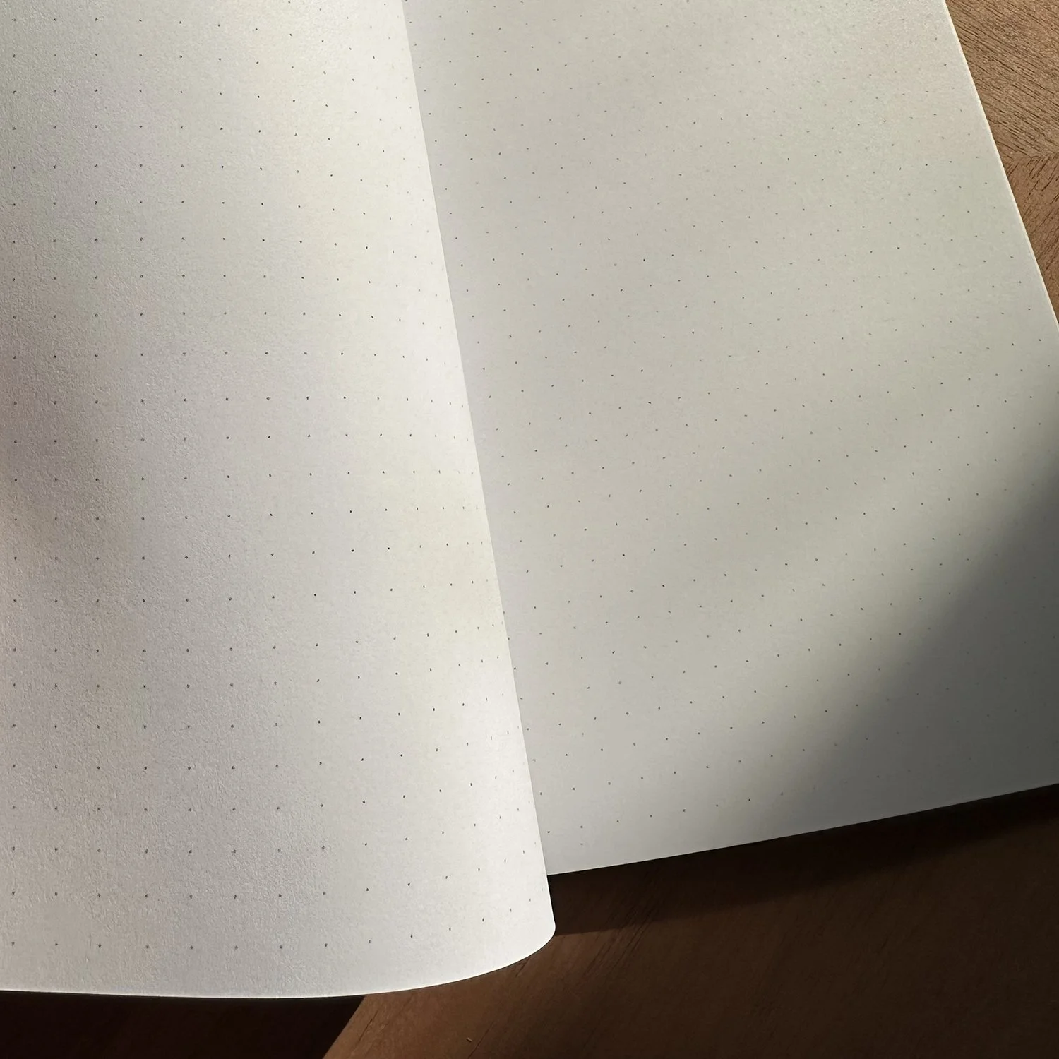Speckled_Product_Notebook_2.jpg (Copy)