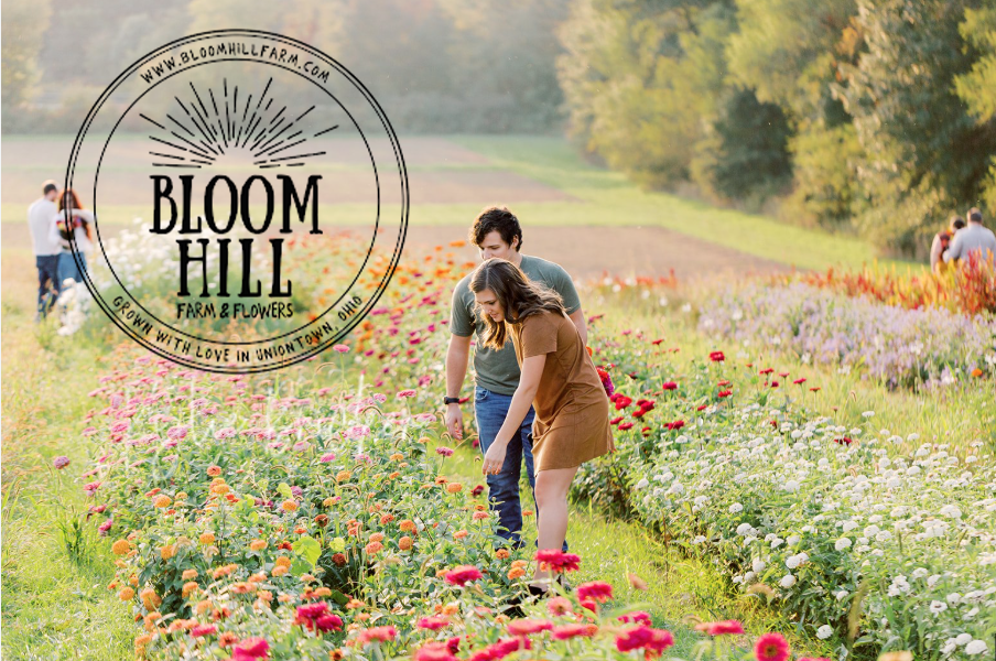 Bloom Hill Farm - Summer Fest