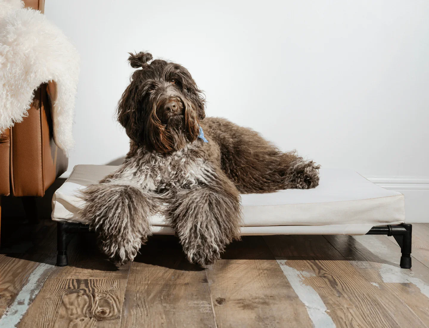 Outdoor Dog Bed - Waterproof & Cooling