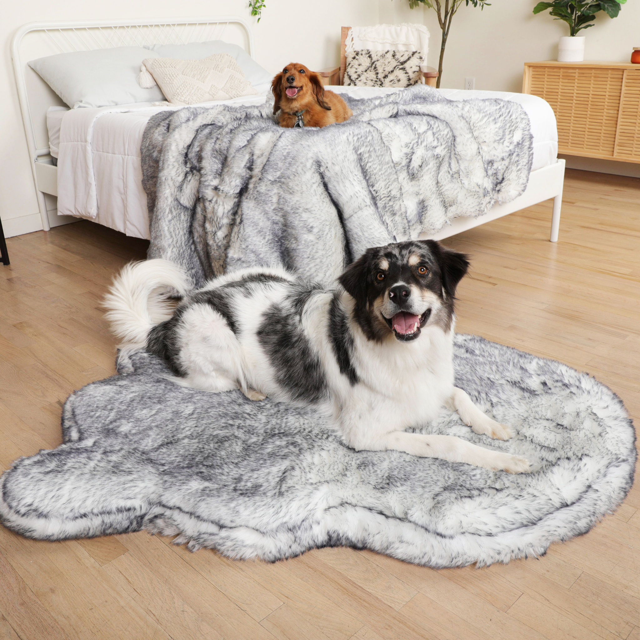 Luxe Orthopedic Bed + Matching Waterproof Blanket Bundle 