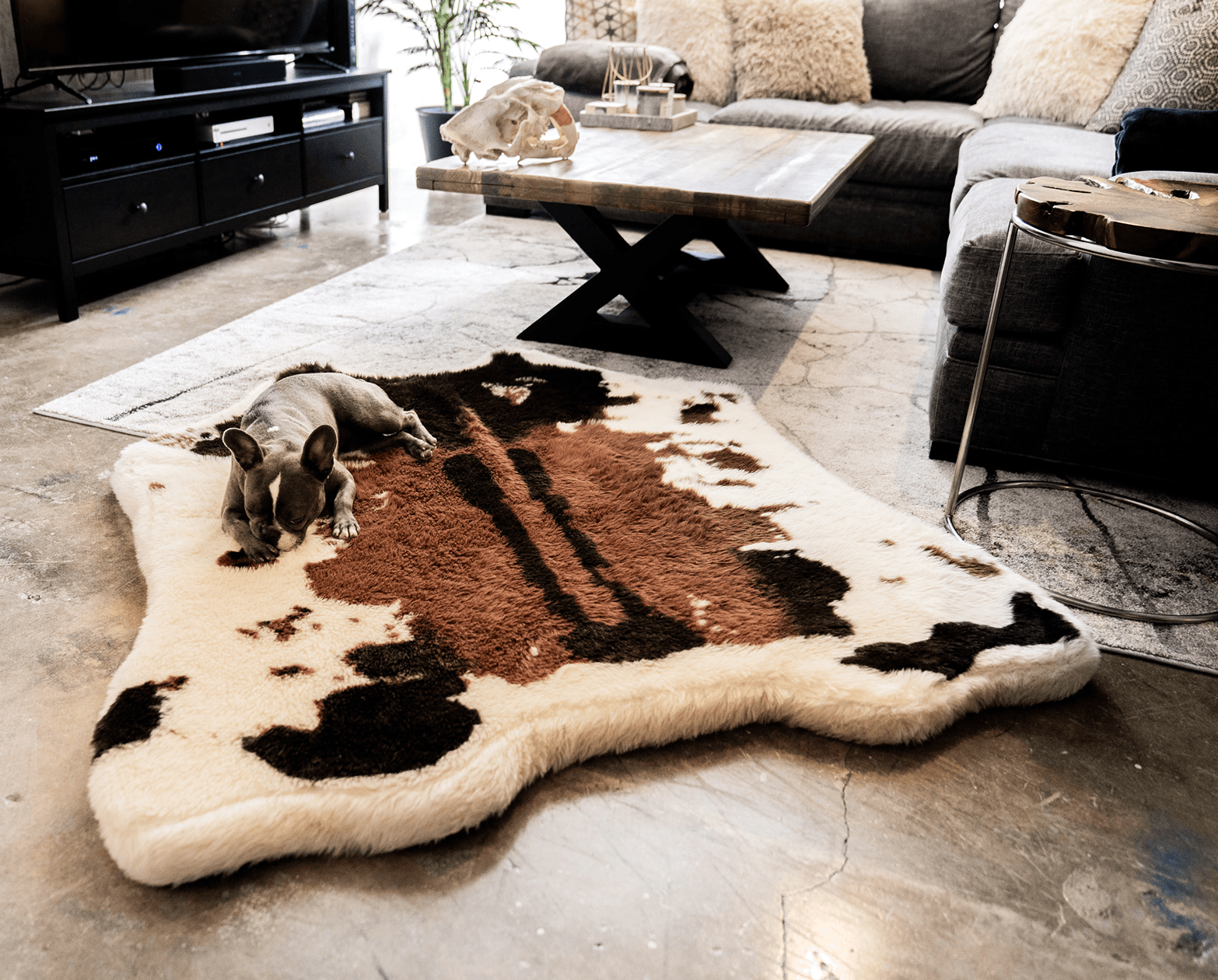 Animal Print Memory Foam Dog Bed - Brown Faux Cowhide
