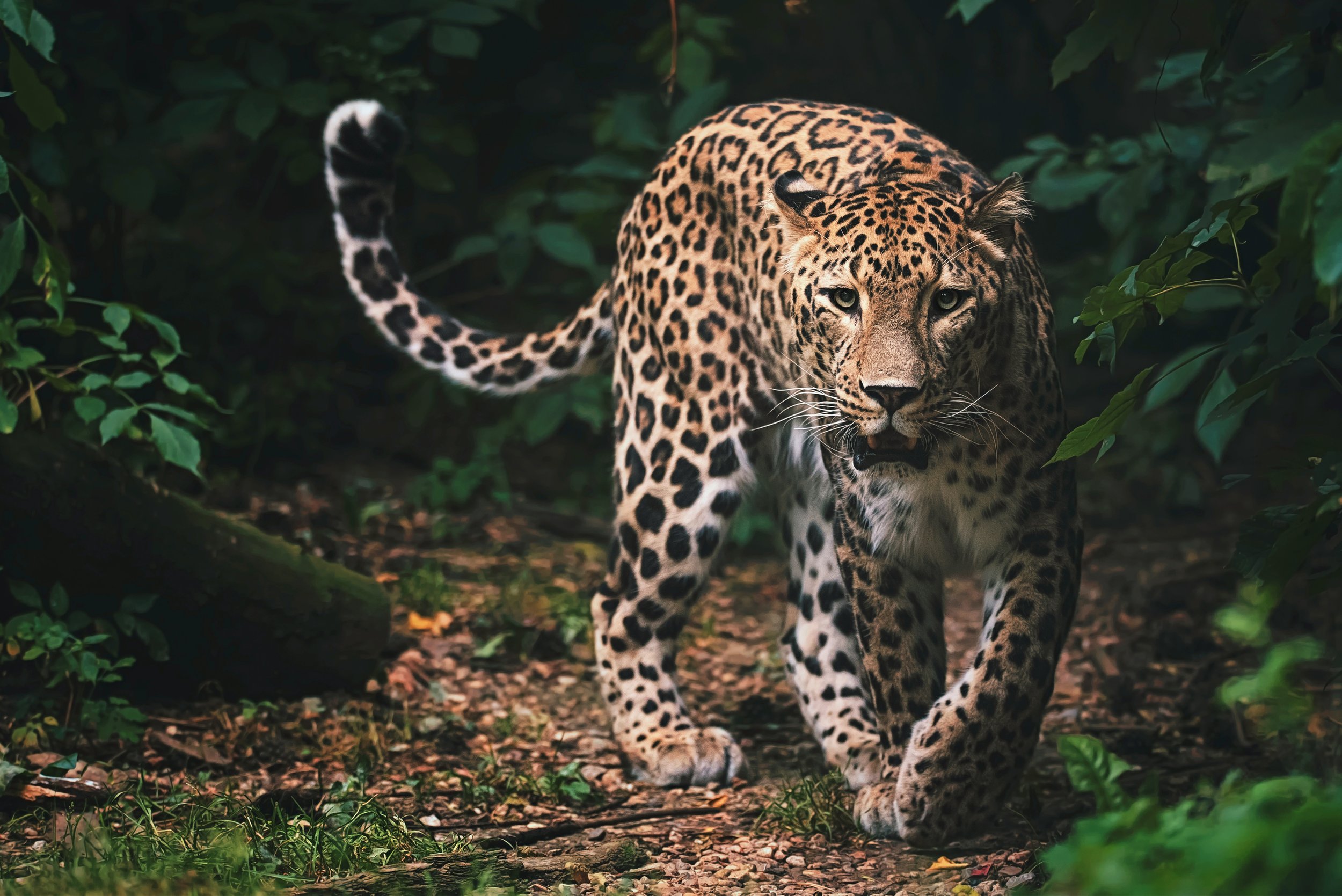 AdobeStock_443503317.jpeg