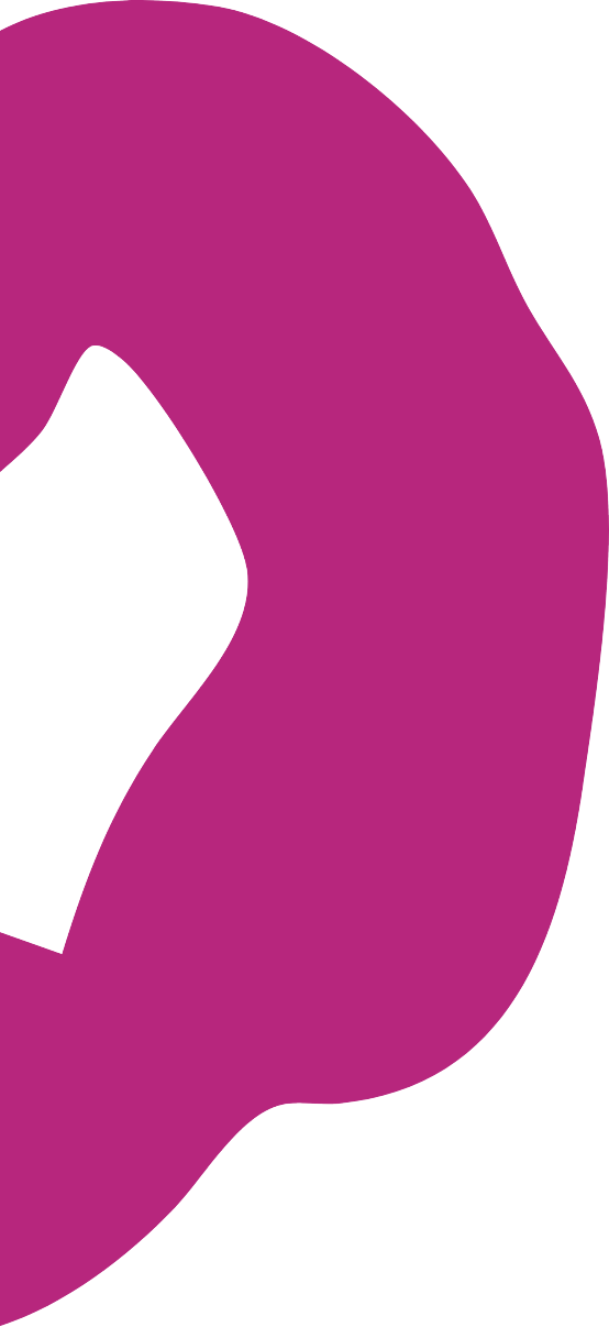 Close-up of a bright pink, curved leopard rosette on a black background.