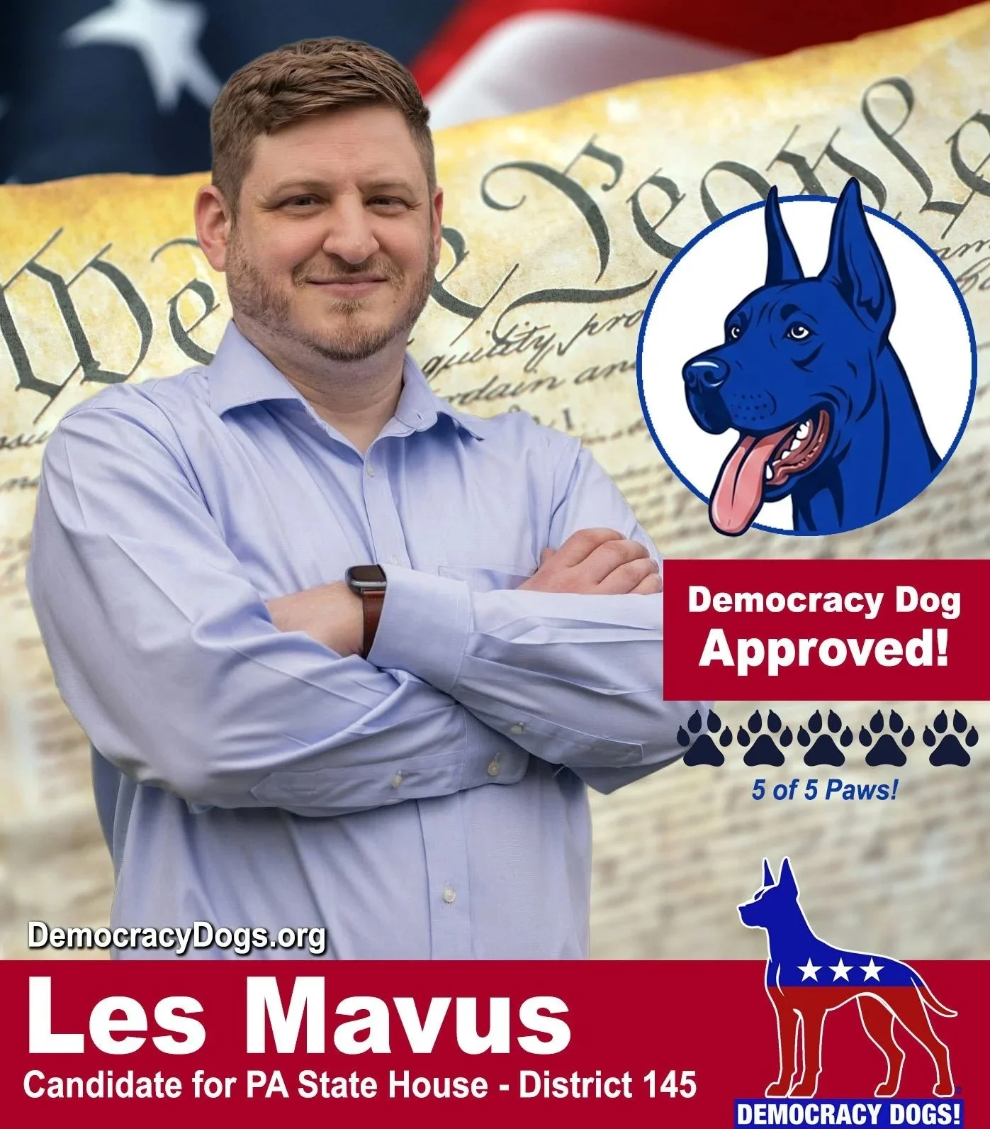 Candidate Les Mavus with a top rating from Democracy Dogs!