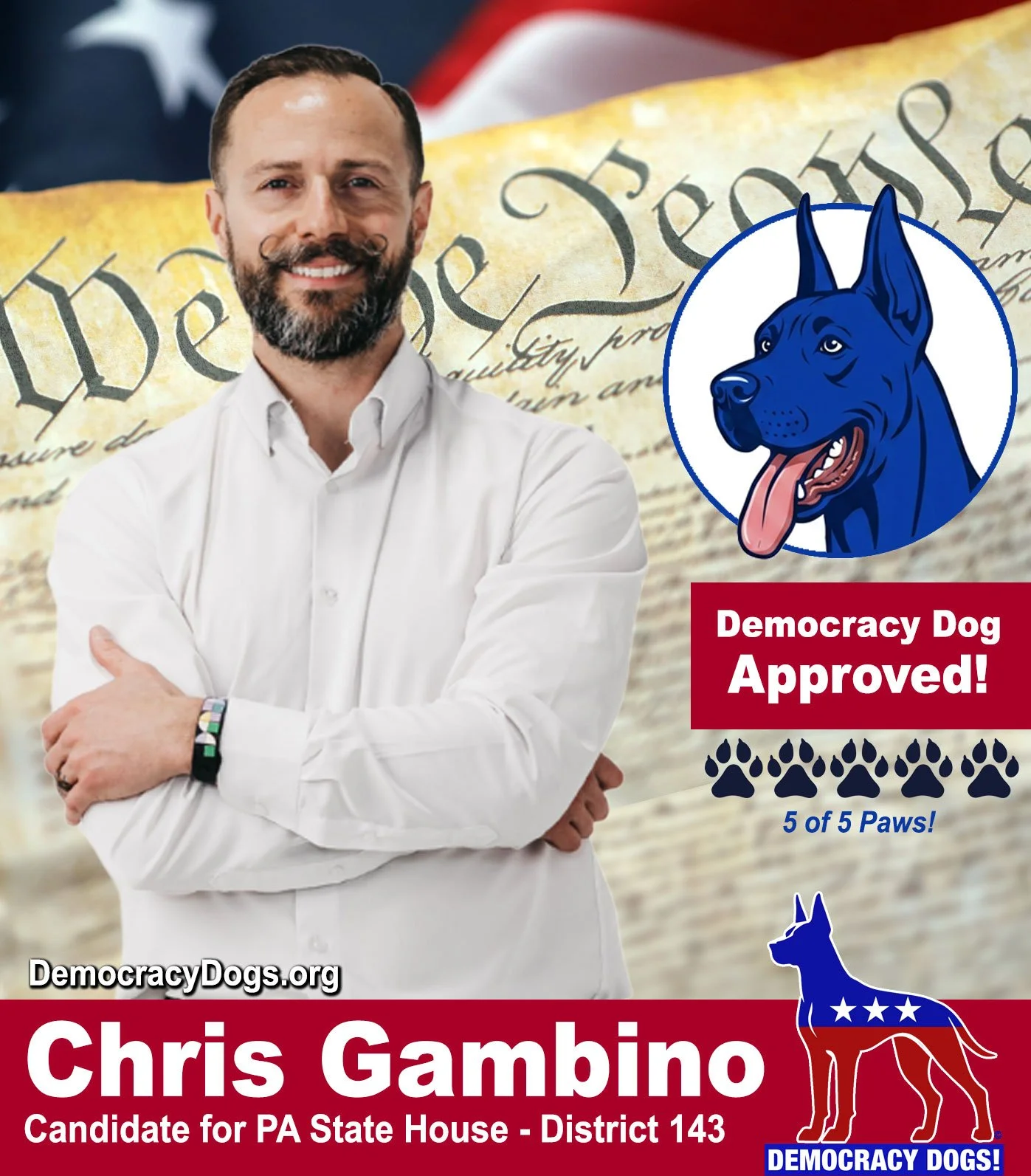 Independent Candidate Chris Gambino with a top rating from Democracy Dogs!