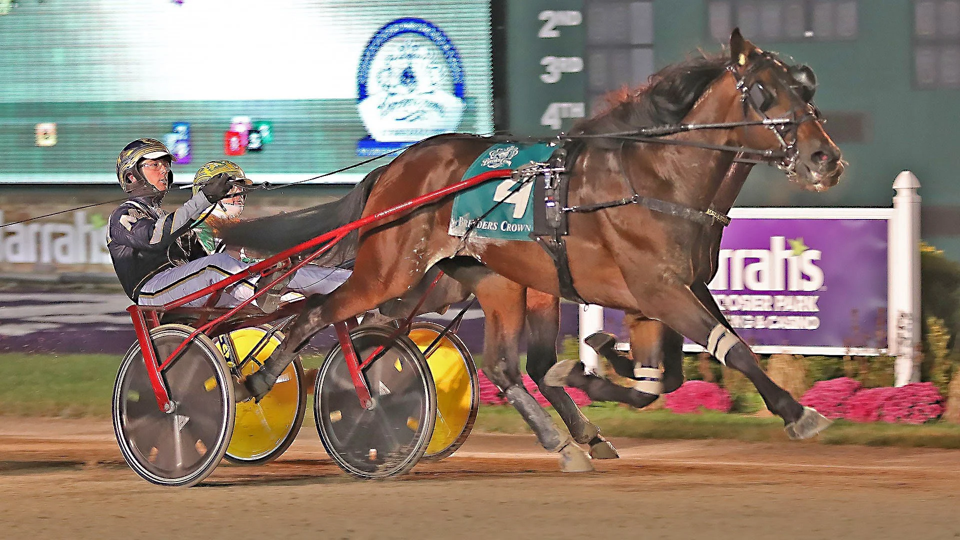 Sometimes... you don't know what you have in your own backyard!